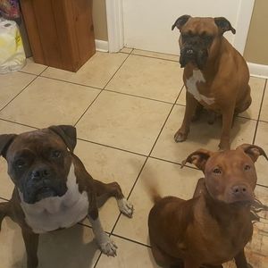 Meet your Posher, Vincent